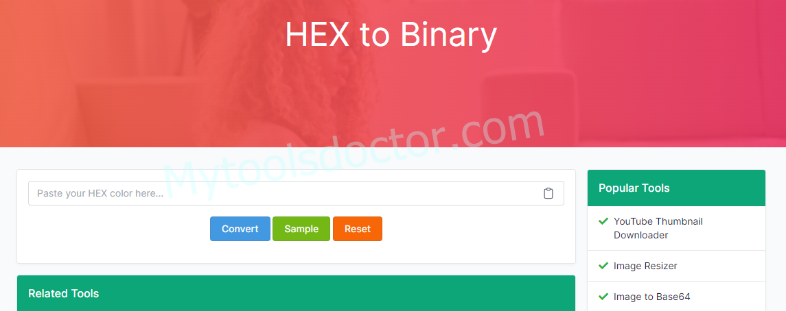 HEX to Binary Encoder